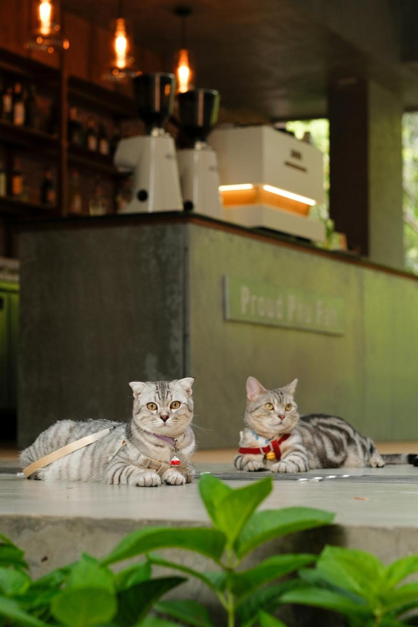 Proud Phu Fah Muang Chiang Mai Hotel Екстериор снимка