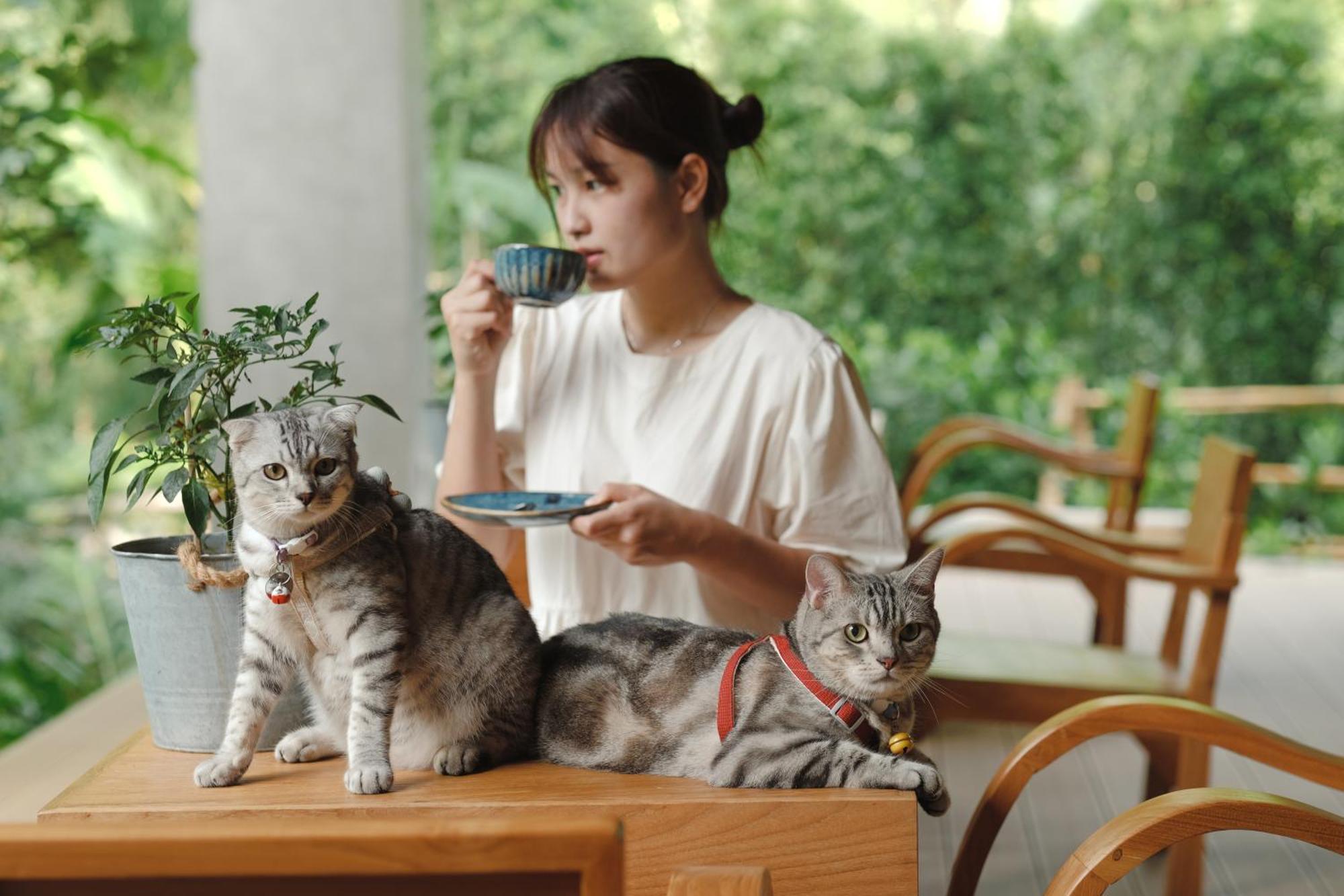 Proud Phu Fah Muang Chiang Mai Hotel Екстериор снимка
