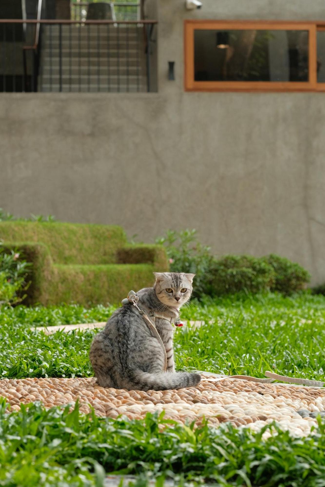 Proud Phu Fah Muang Chiang Mai Hotel Екстериор снимка